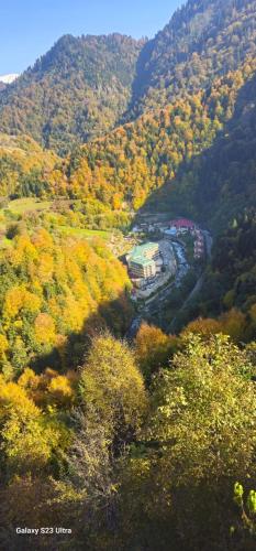 Ridos Thermal Hotel & Spa - image 12