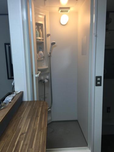 Apartment with Shower image 2