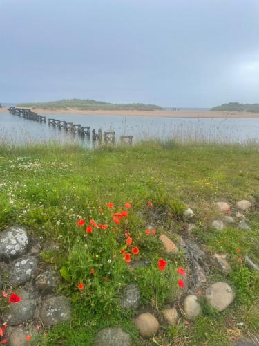 The Jewel of the Moray Firth in Lossiemouth