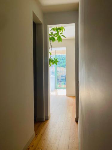 Contemporary oasis in the heart of Lisbon, Lisbonne (photo 8)