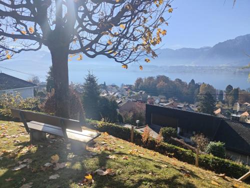 Hilterfingen on the way to interlaken, Thun (foto 10)