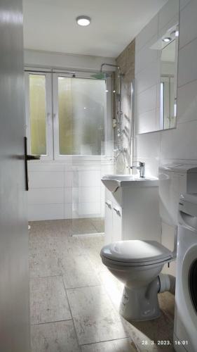 Apartment Otoka 3