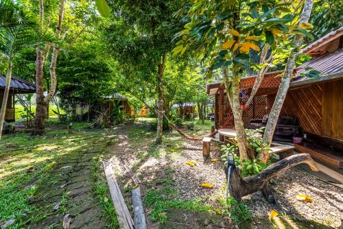 Buzzas @ Pai Chan – Pai, ND