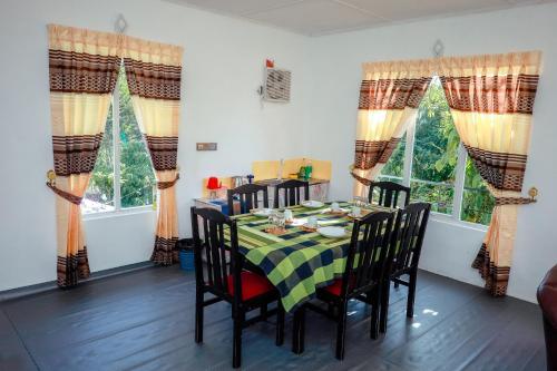 Peace Nest - image 5