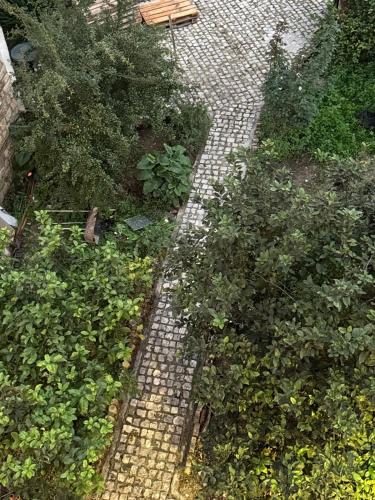 Double Room with Garden View image 6