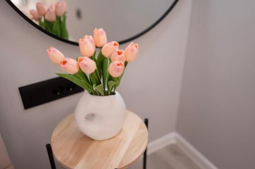 Studio Rosé (Studio Rose) in มอส์ทาร์