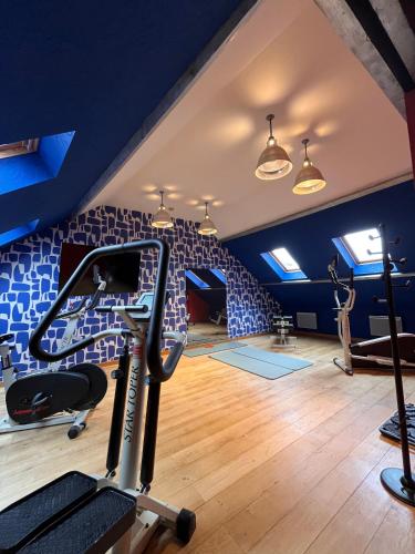 LOGIS Hotel Borel - 피트니스 센터