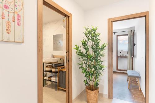 Marde Loft in Mancha Blanca