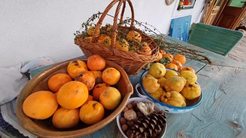 Blutenstockl in Loipersdorf