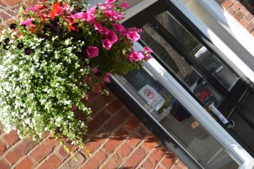 The Westlynne Hotel & Apartments - image 8