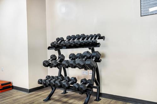 Bright And Cozy Studio - Family Friendly Bright And Cozy Studio - Family Friendly