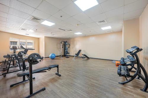 Bright And Cozy Studio - Family Friendly Bright And Cozy Studio - Family Friendly