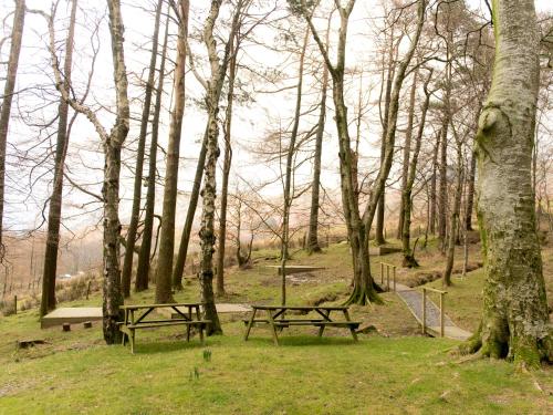 YHA Buttermere - image 6