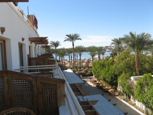 Oonas Dive Club, Sharm el Sheikh