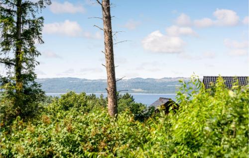  Nice Home In Ebeltoft With 3 Bedrooms & Wifi in Ebeltoft
