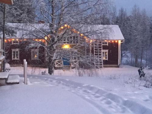 Korvala log cabins 4