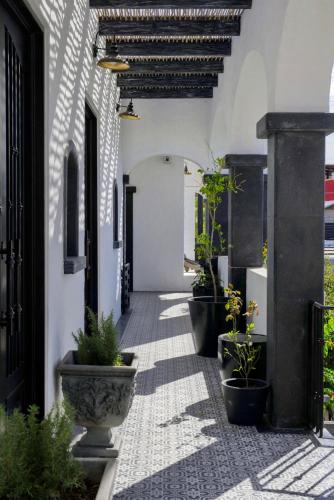 Casa 1880 - Adults Only - image 3