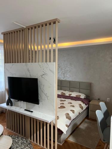 NOMAD Studio - Apartment - Niš