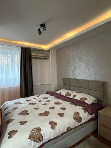 NOMAD Studio, Niš (fotografie 5)