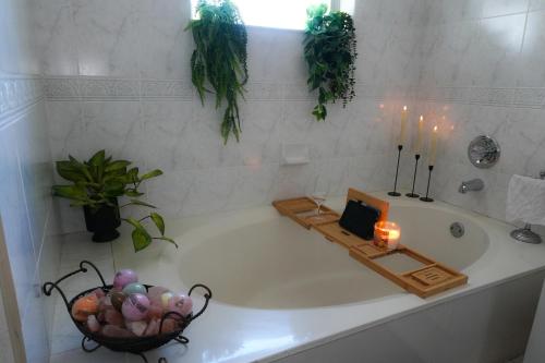 The Miamiville - Hidden Gem with Free Parking in Miami, USA
