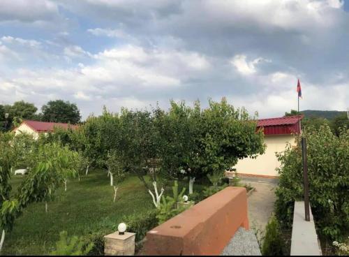 Dzoratun Dsegh in Dzoraget