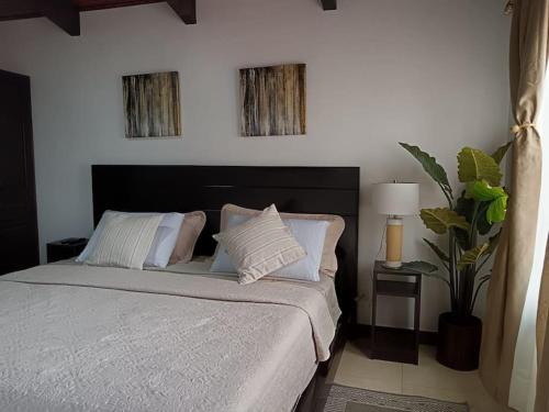 Arenal Dreams House, Fortuna (photo 9)