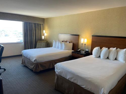 2 queen beds