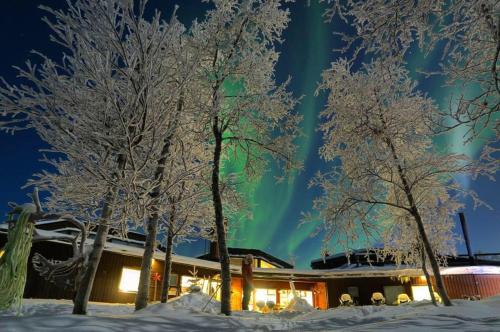 Máttaráhkká Northern Light Lodge - Accommodation - Kiruna