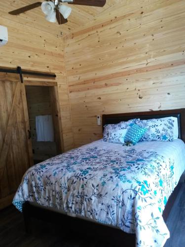 132 Catherine Park #1 Cozy Romantic Cabin on the creek in Hot Springs, USA