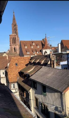 Le Petit Batelier - Strasbourg - Vue cathédrale, Strasbourg (photo 10)