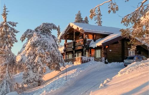 . Pet Friendly Home In Nissedal With Wifi
