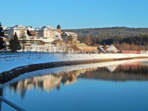 Hochschwarzwald-Hof - image 11
