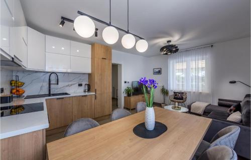 ห้องครัว, Villa Calla Labin in โรโกซานา