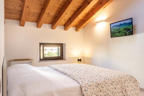 Achillea, Pieve di Soligo (Foto 8)
