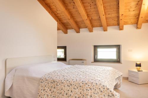 Achillea, Pieve di Soligo (Foto 9)