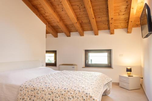 Achillea, Pieve di Soligo (Foto 10)
