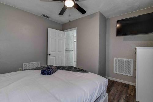 Heated Pool 5 Min To Beautiful Beaches in St Petersburg, USA