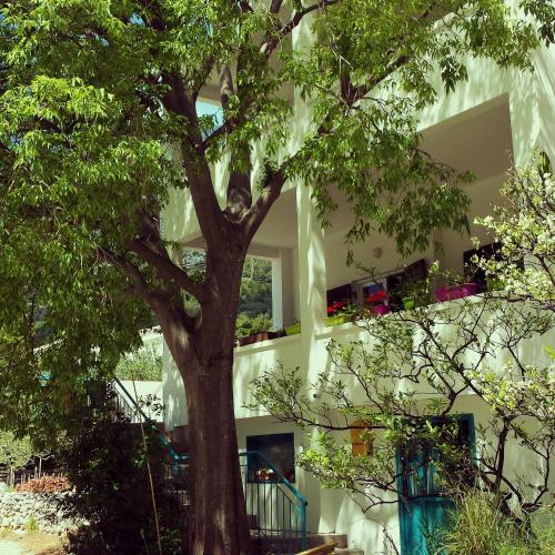  Apartments Lozina in Živogošće