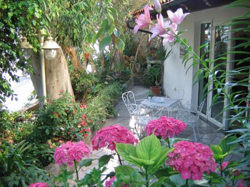 Hotel Europa - image 5