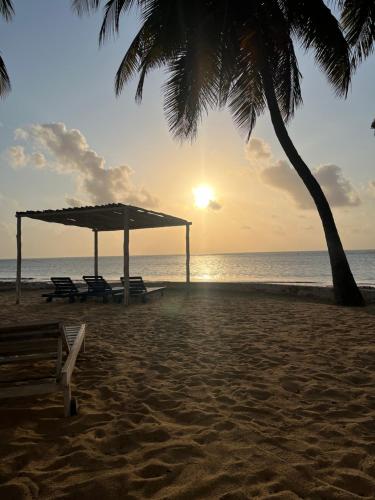 Studio Cecile in Malindi