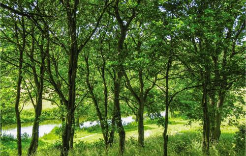Vista exterior, Birknæsgard in Braedstrup