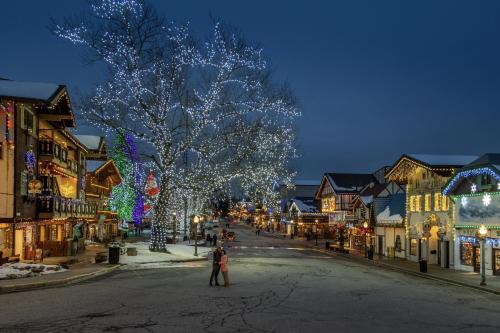 Raven Haven Lodge by NW Comfy Cabins