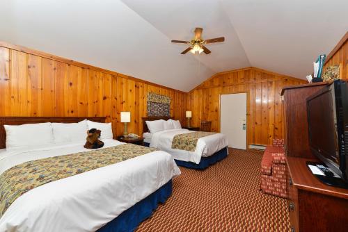 Buffalo Bill Cabin Village - Accommodation - Cody