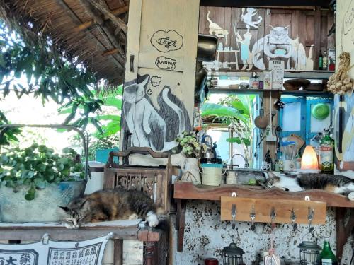 Samatha Camper Samatha Camper