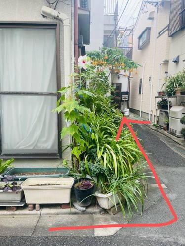 独栋日式别墅巴士直达迪斯尼