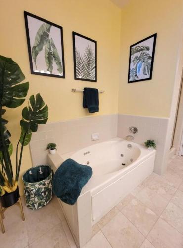 Spacious studio with two queen beds near Beverlywood 5 minutes to Rodeo Drive in Los Angeles, USA
