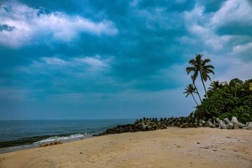 Nabij attractie, Marari Eden Castle in Cherthala