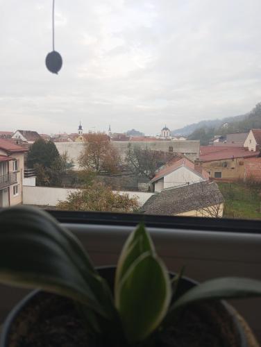 Deniro Apartment, Požega