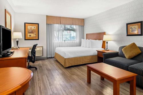Queen Room with Sofa Bed and Kitchenette - Pet Friendly/Non-Smoking