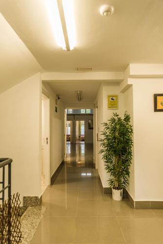 Előcsarnok, Isabel Guest House in Villaverde